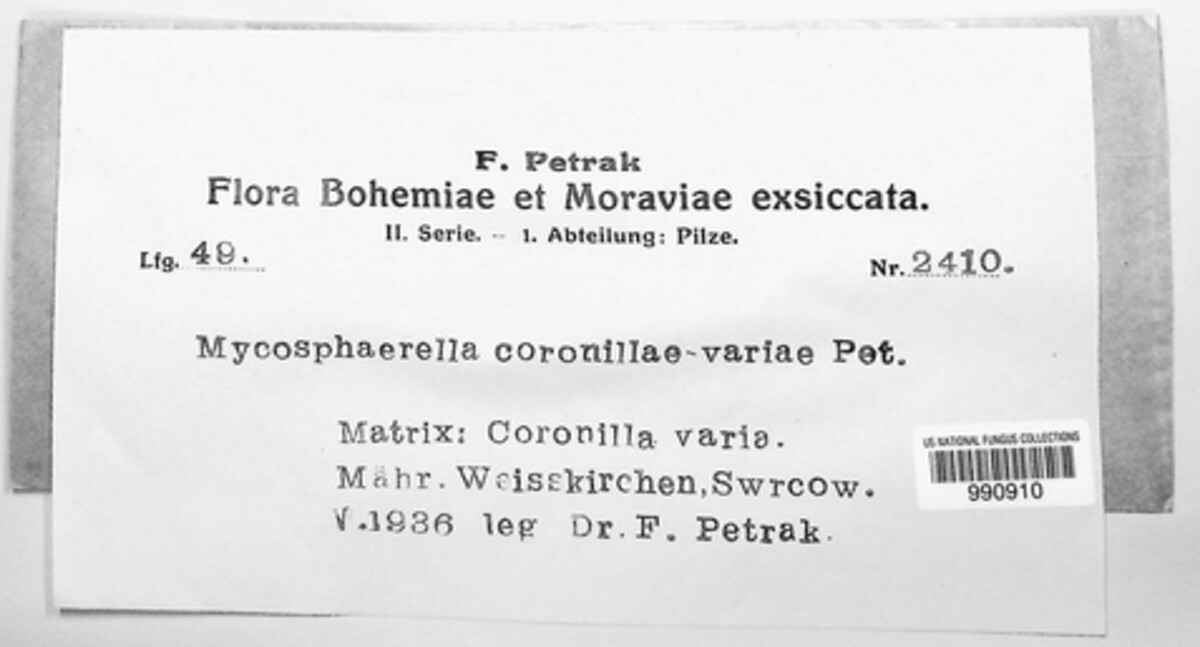 Mycosphaerella coronillae-variae image